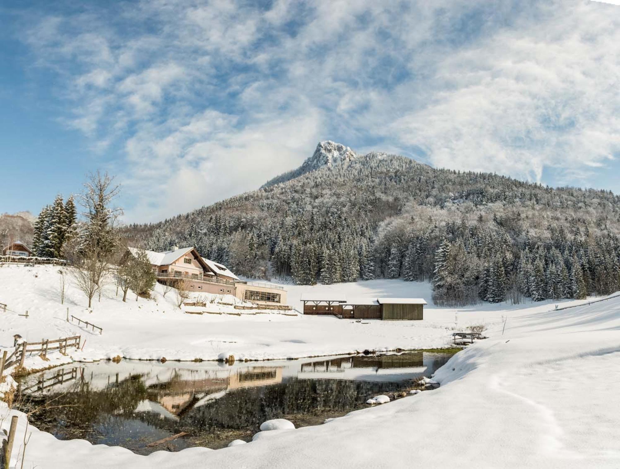 Ebner's Waldhof am See Resort&Spa Fuschl am See Exterior foto